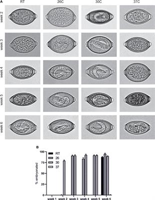 Un-‘Egg’-Plored: Characterisation of Embryonation in the Whipworm Model Organism Trichuris muris